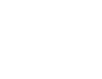 현장 실사